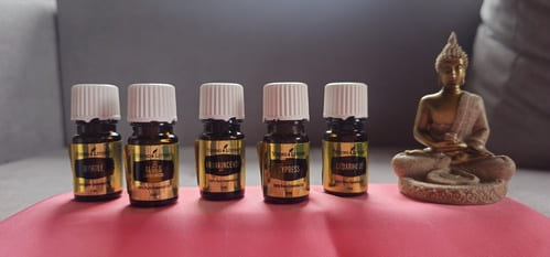 Verschiedene Flaschen mit ätherischen Ölen aus dem Bibel-Öl-Set stehen nebeneinander